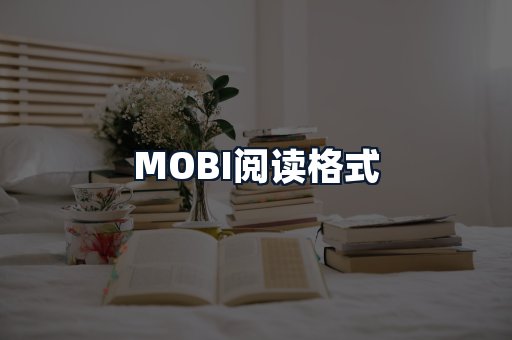 MOBI阅读格式